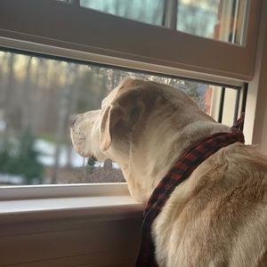 Meet your Posher, Fiona